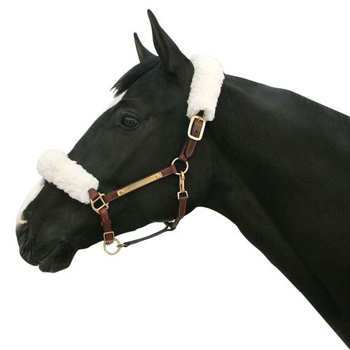 Back on Track Fleece Halter Cover - White