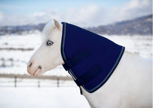 Kensington Mini/Pony Signature Neck Warmer 180G - Navy