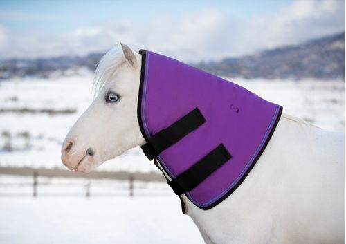 Kensington Mini/Pony Signature Neck Warmer 180G - Purple