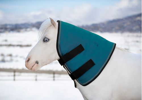 Kensington Mini/Pony Signature Neck Warmer 180G - Harbor