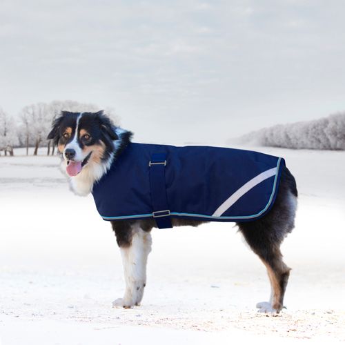 Kensington Signature Dog Coat - Navy