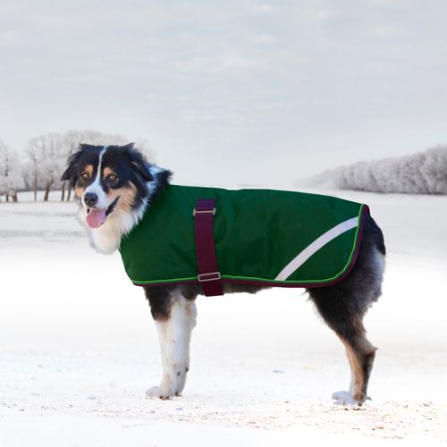 Kensington Signature Dog Coat - Hunter