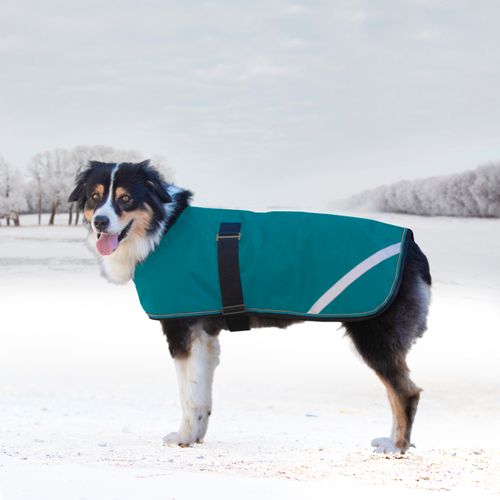 Kensington Signature Dog Coat - Harbor