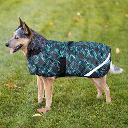 Kensington Signature Dog Coat - Atlantis