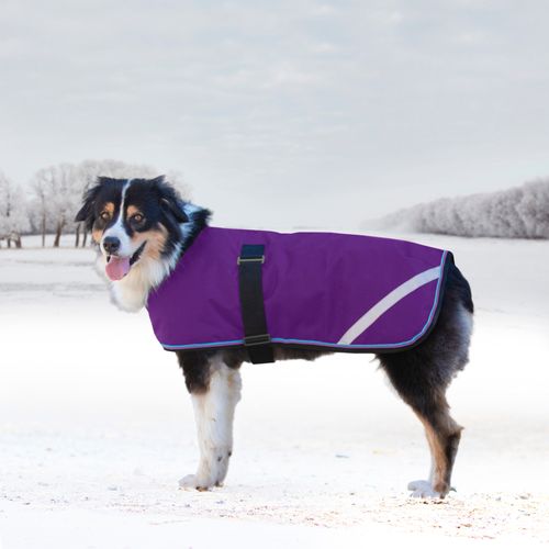 Kensington Signature Dog Coat - Purple