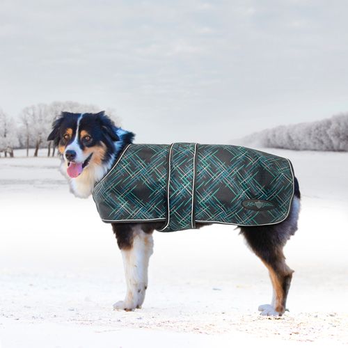 Kensington Signature Dog Coat w/Chest Cover - Atlantis