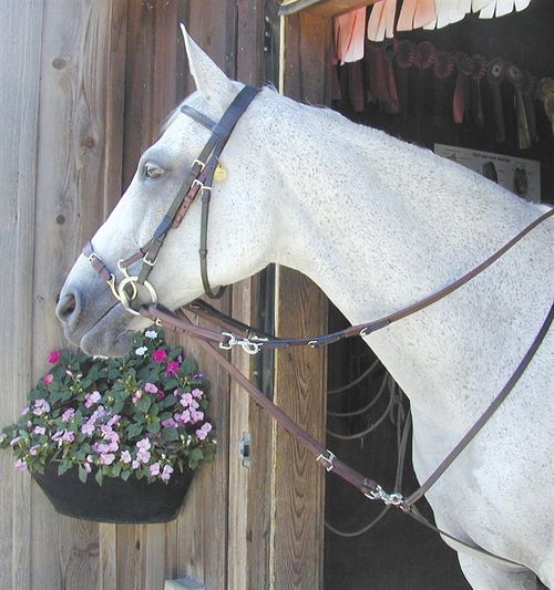 Nunn Finer German Martingale Rein Set - Havana