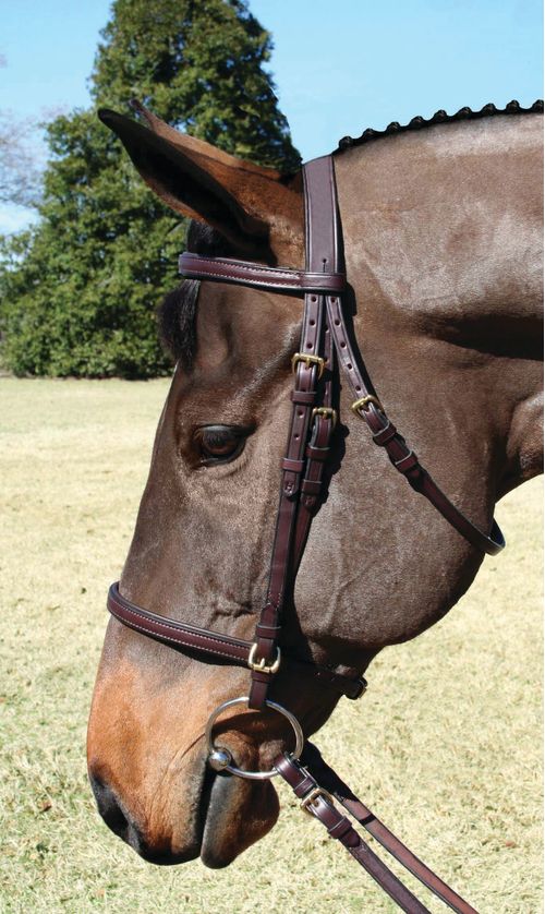 Nunn Finer Nunn Finer Event Bridle - Havana/Brass