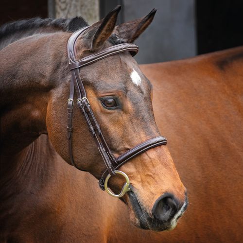 Shires Velociti Lusso Hunter Cavesson Bridle - Havana