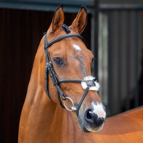 Shires Velociti Lusso Grackle Bridle - Black