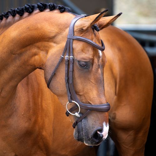 Shires Velociti Lusso Ergonomic Curved Flash Bridle - Havana