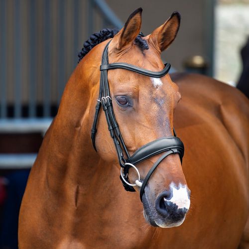 Shires Velociti Lusso Dressage Flash Bridle - Black