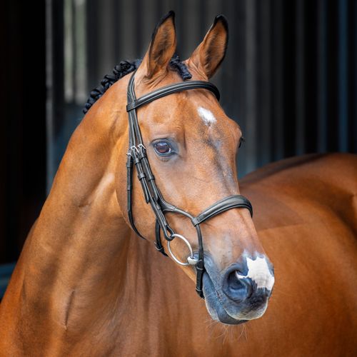 Shires Velociti Lusso Rolled Padded Cavesson Bridle - Black