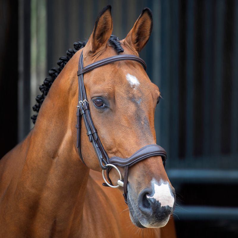 Shires Velociti Lusso Bridle