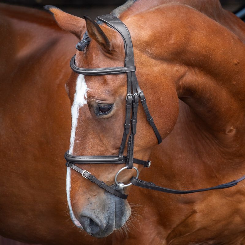 Shires Velociti Rapida Halter - Thumbnail 2