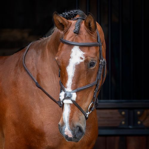 Shires Velociti Rapida Figure 8 Bridle - Havana