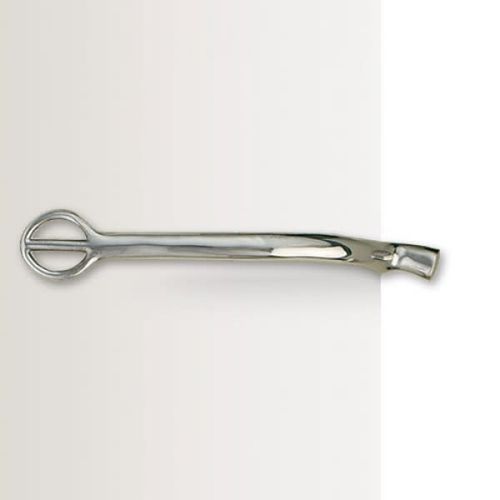 Centaur 1/4" Tom Thumb Spur - Stainless Steel