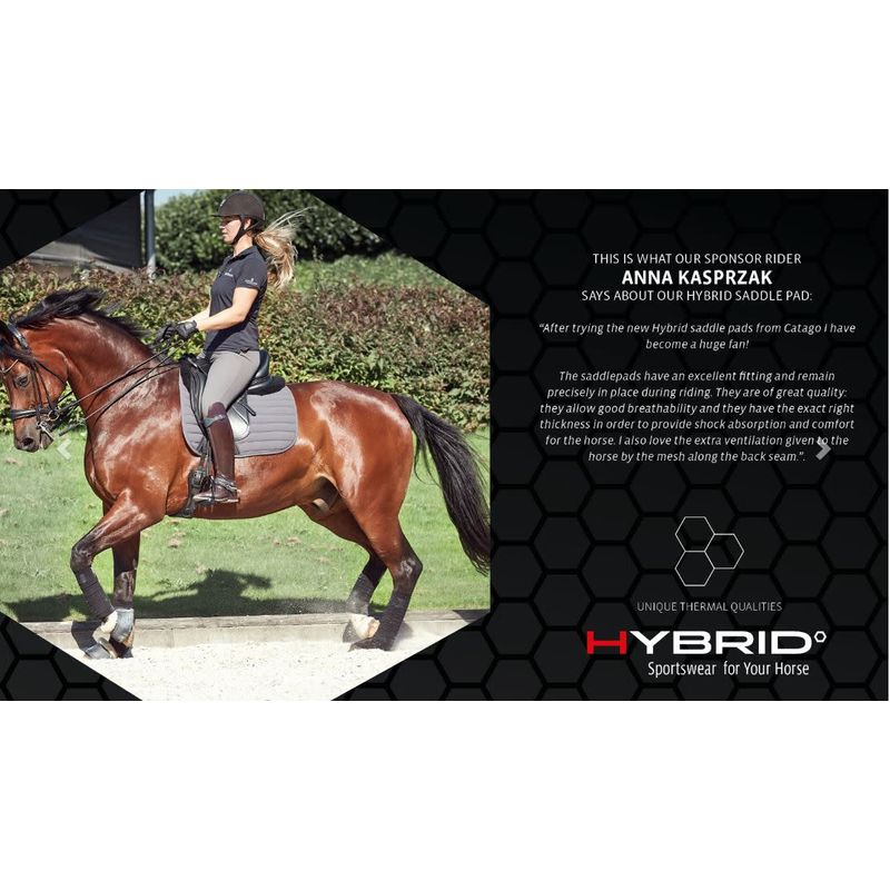 Dressage Matchy Sets – Standard Issue Equestrian