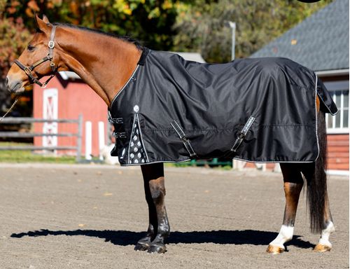 Equinavia Norse Turnout Sheet - Black