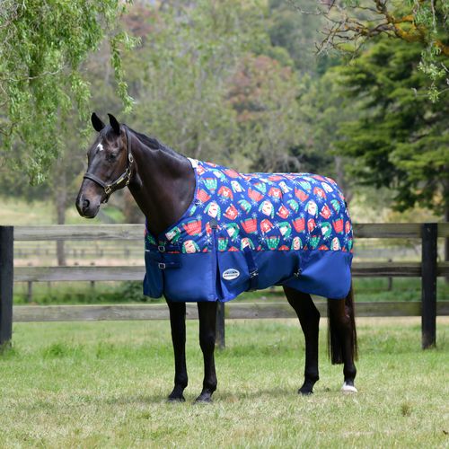 Weatherbeeta Comfitec Essential Standard Neck Medium - Holiday Sweater Print
