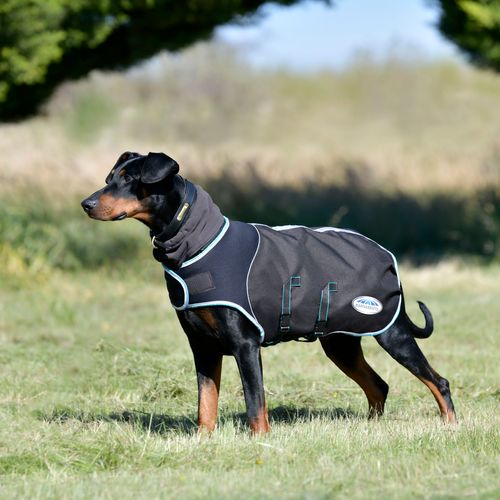 Weatherbeeta Comfitec Ultra Cozi II Dog Coat Medium/Lite - Charcoal/Teal Blue/White