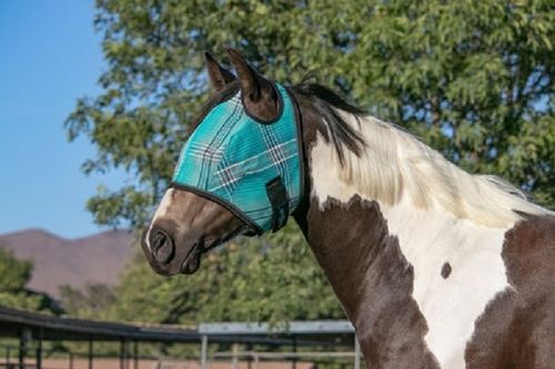 Kensington Fly Mask w/Web Trim & Dual Ear Holes - Atlantis