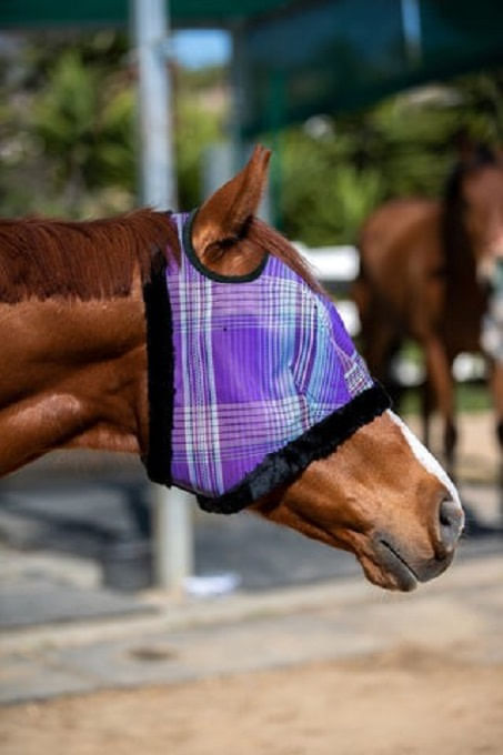 Kensington Fly Mask w/Fleece Trim & Dual Ear Holes - Lavender Mint