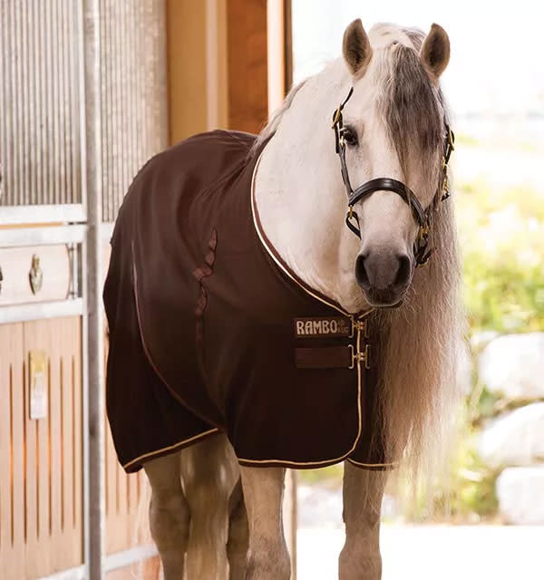 Horse Blankets - Sheets - Coolers - Bit of Britain