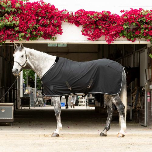 Equinavia Vind Stable Sheet - Black