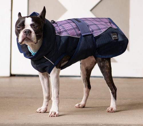 FITS Dog Coat - Salmon/Navy Plaid