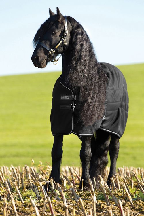 Rambo Stable Blanket 100g - Black/Black/Silver