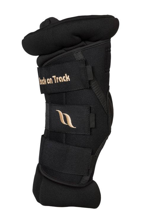 Back on Track Royal Padded Hock Boots Deluxe - Black