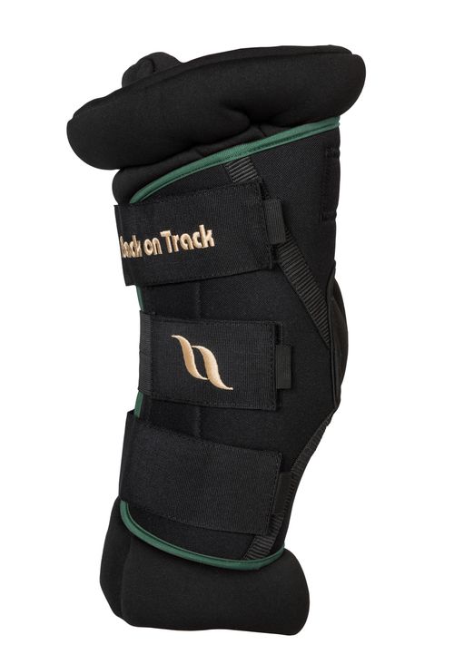 Back on Track Royal Padded Hock Boots Deluxe - Green