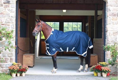 Centaur TG3 Horse Blanket - Navy