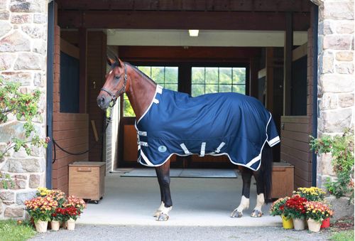 Centaur TG1 Horse Blanket - Navy