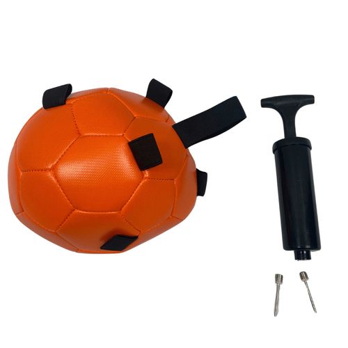 Cavalier Holland Maximus Fun Ball - Orange