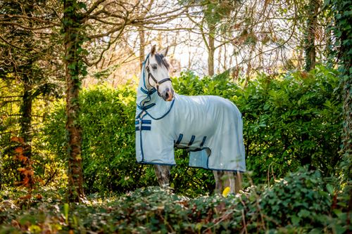 Amigo Amigo Bug Buster - Azure Blue/Navy/Electric Blue