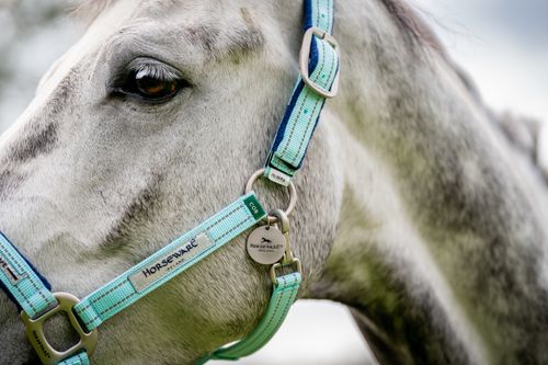 Horseware Field Safe Halter - Blue Haze