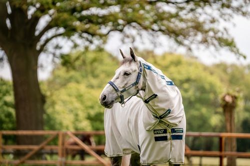 Horseware Field Safe Halter - Navy