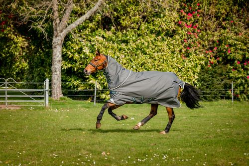 Amigo Bravo 12 Plus Turnout 250g - Shadow/Navy/Lime