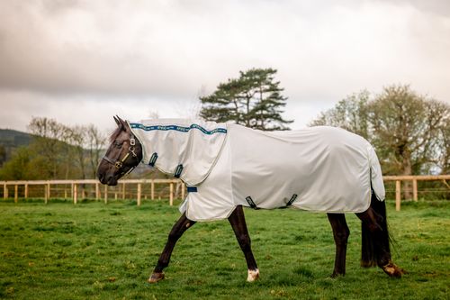 Amigo Bug Rug - Lunar Rock/Navy/Lime