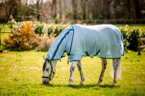 Amigo Bug Rug - Azure Blue/Navy/Electric Blue