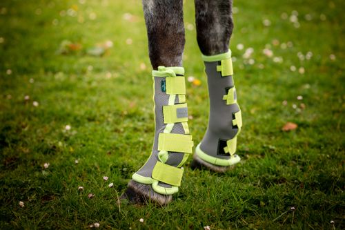 Horseware Flyboots - Silver/Lime