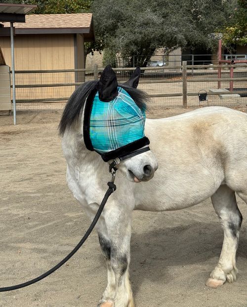 Kensington Pony Fly Mask w/Fleece Trim and Ears - Atlantis