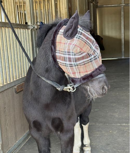 Kensington Pony Fly Mask w/Fleece Trim and Ears - Deluxe Black