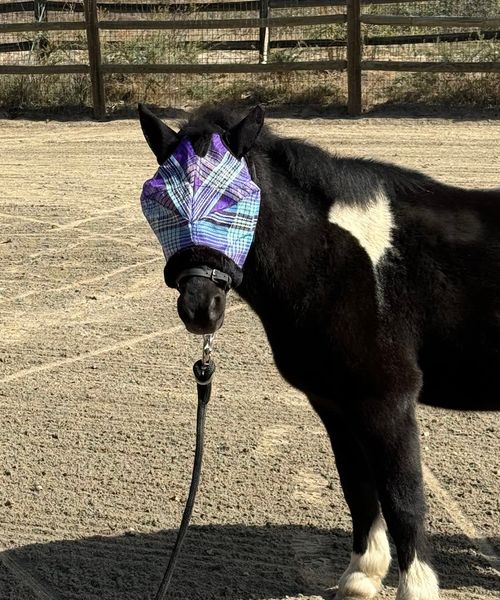 Kensington Pony Fly Mask w/Fleece Trim and Ears - Lavender Mint