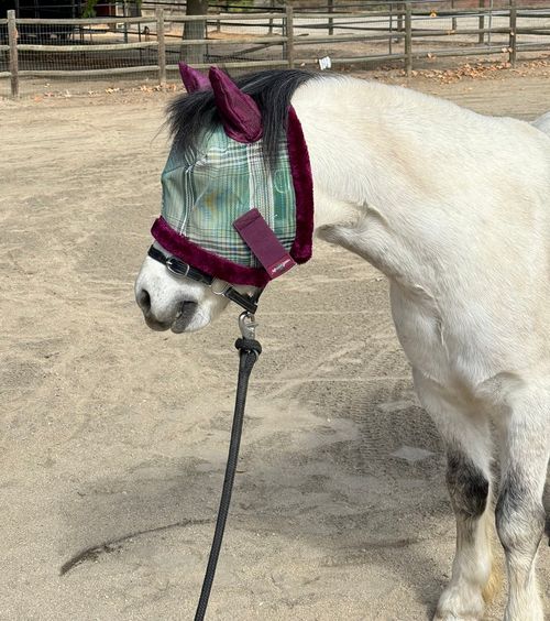 Kensington Mini Fly Mask w/Fleece Trim and Ears - Imperial Jade