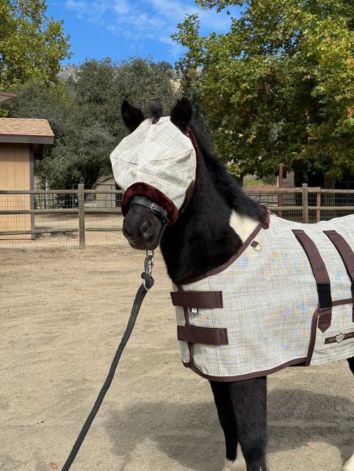 Kensington Mini/Pony Fleece Trim Fly Mask - Desert Sand