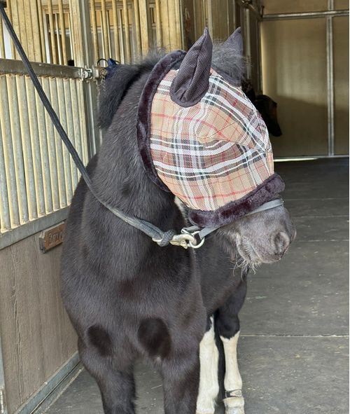 Kensington Mini Fly Mask w/Fleece Trim and Ears - Deluxe Black