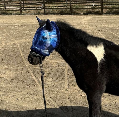 Kensington Pony Fly Mask w/Fleece Trim and Ears - Kentucky Blue